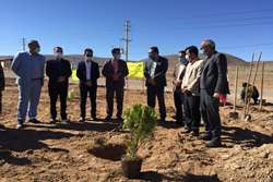 برگزاري آيين روز درختكاري در شهرك هاي صنعتي پاسارگاد و مهر 